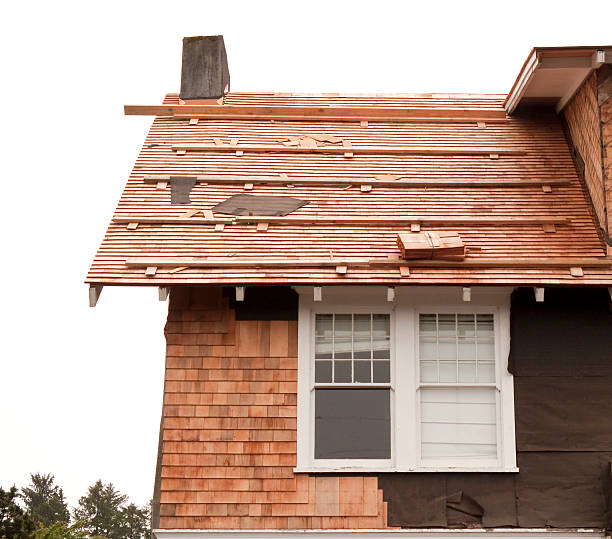 Affordable Siding Repair and Maintenance Services in Abilene, TX